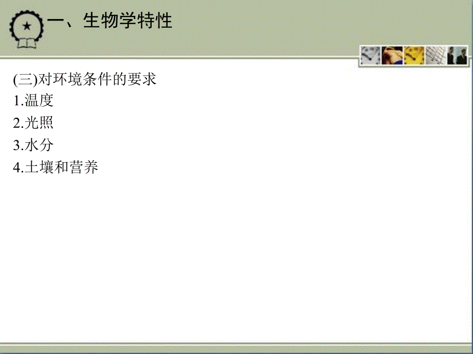 蔬菜生产技术 教学课件 ppt 作者 刘艳华 项目七_第2页