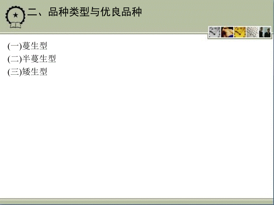 蔬菜生产技术 教学课件 ppt 作者 刘艳华 项目七_第3页