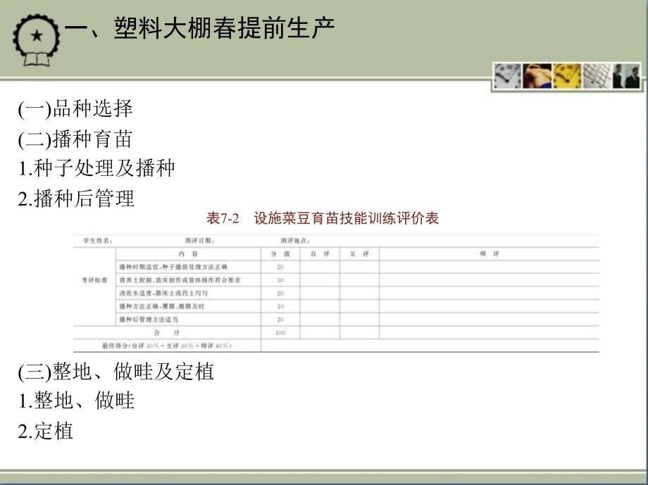 蔬菜生产技术 教学课件 ppt 作者 刘艳华 项目七_第5页