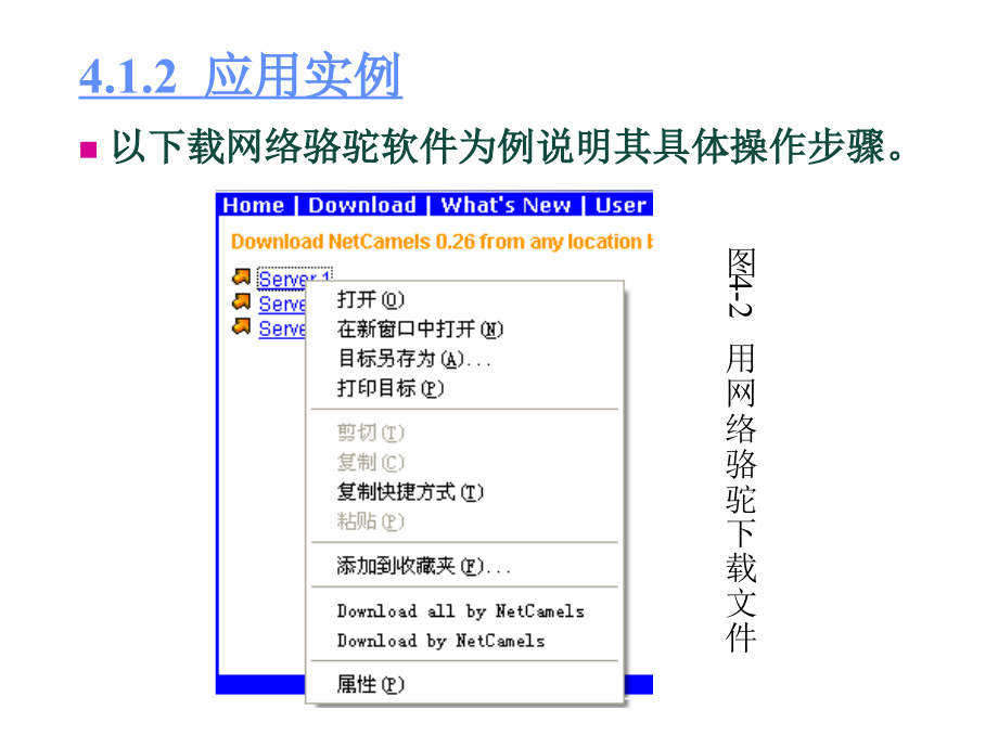 张怀中-常用工具软件实用教程 第4章  文件下载、文件传输与离线浏览_第4页