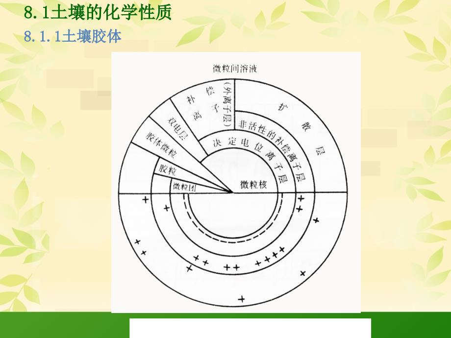 园林植物生长发育与环境 教学课件 ppt 作者 关继东 单元8植物矿质营养_第4页