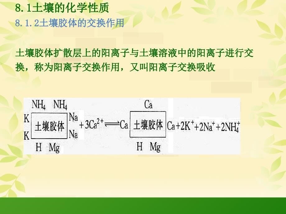 园林植物生长发育与环境 教学课件 ppt 作者 关继东 单元8植物矿质营养_第5页