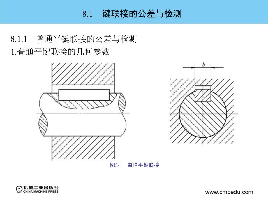 公差配合与测量技术 教学课件 ppt 作者 冯丽萍 第8章　常用联接件的公差与检测_第4页