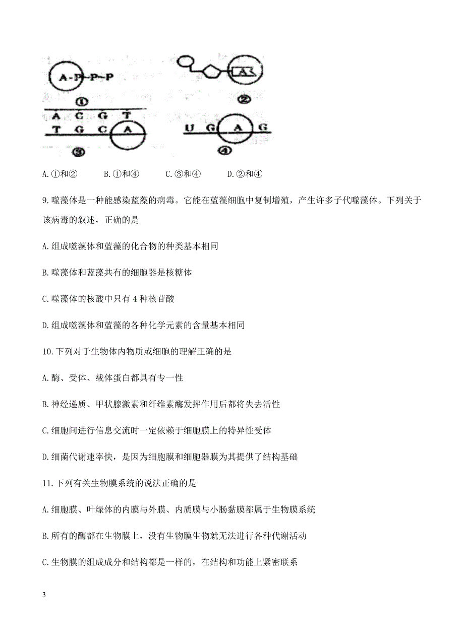 甘肃省2018届高三第一学期第一学段考试生物试卷含答案_第3页