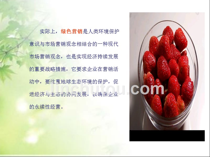 农产品营销学 教学课件 ppt 作者 王杜春 第十二章农产品绿色营销_第4页