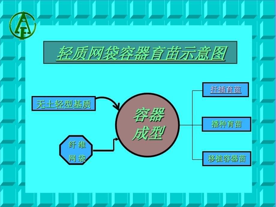 园林苗圃育苗技术 教学课件 ppt 作者 任叔辉 5 育苗中心_第5页