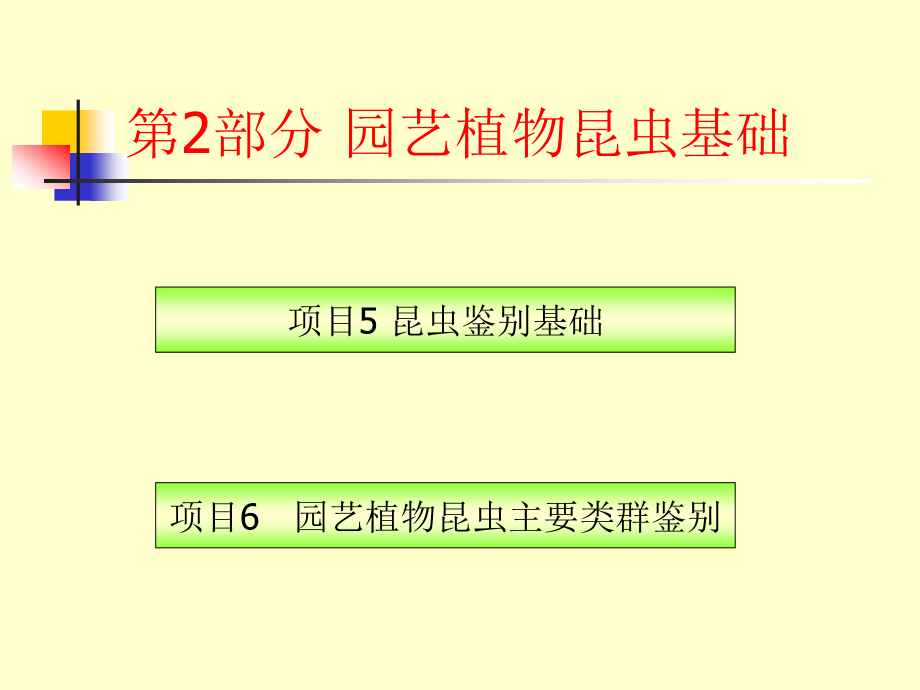 园艺植物病虫害防治 教学课件 ppt 作者 佘德松 第2部分园艺植物昆虫基础_第1页