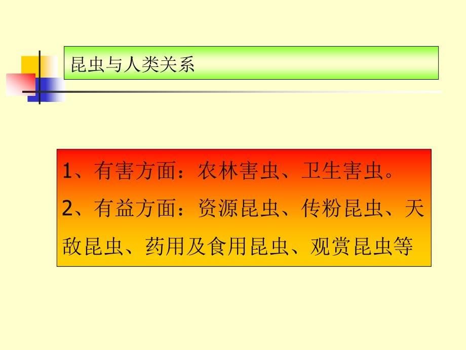 园艺植物病虫害防治 教学课件 ppt 作者 佘德松 第2部分园艺植物昆虫基础_第5页