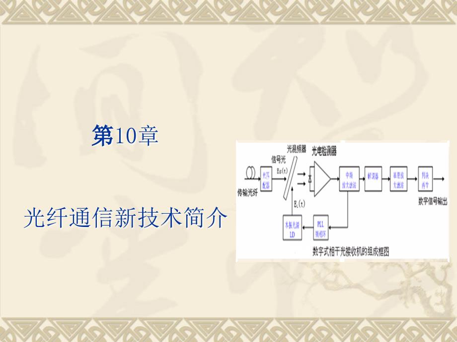 光纤通信技术 教学课件 ppt 作者 彭利标 Fiber10光纤通信新技术_第1页