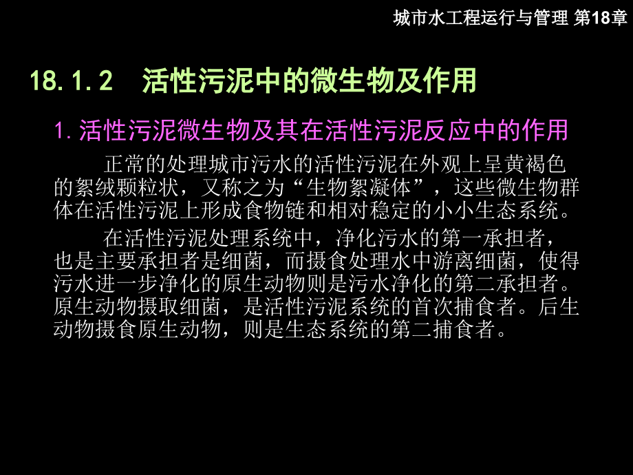 城市水工程运行与管理 教学课件 ppt 作者 肖利萍 于洋 第18章 活性污泥处理系统的_第4页