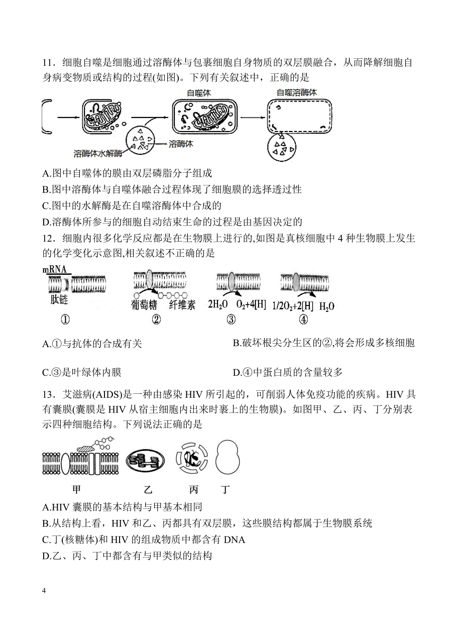 陕西省2018届高三上学期第二次高考模拟考试生物试卷含答案_第4页