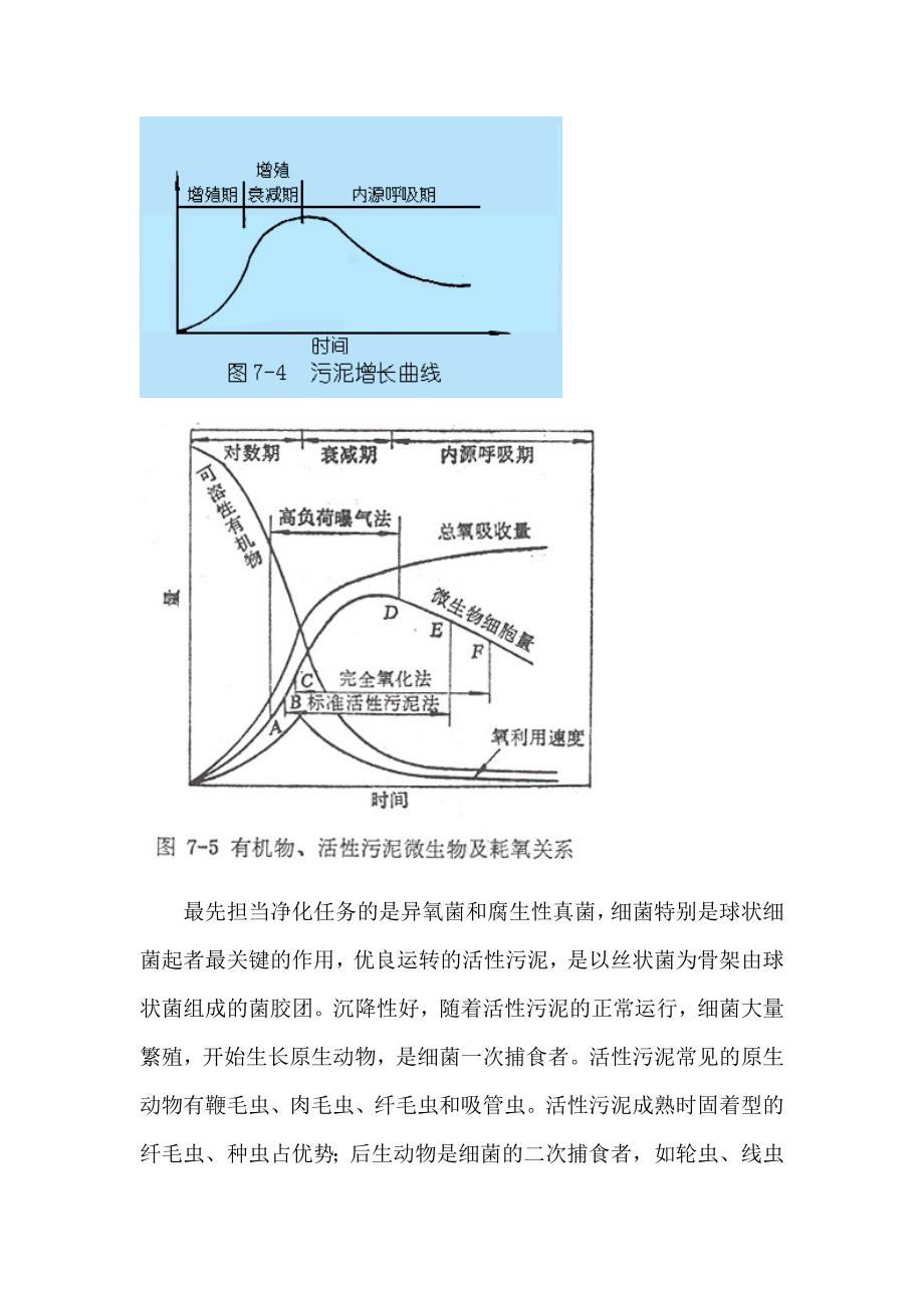 活性污泥法基本原理_第2页