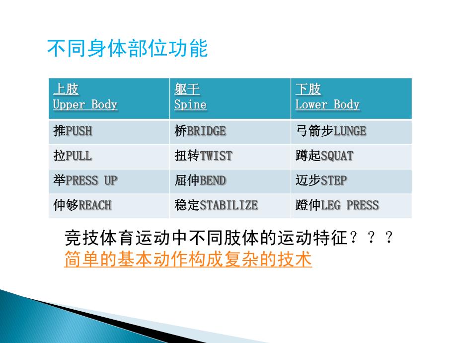 功能性力量训练_第3页