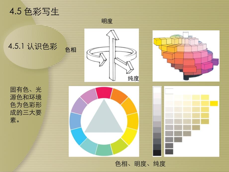 设计写生与实训-电子教案-孙志学 第4章 写生实训的分类05_第1页