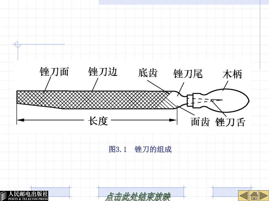 钳工技能实训 教学课件 ppt 作者  张利人 项目三 锉削_第4页