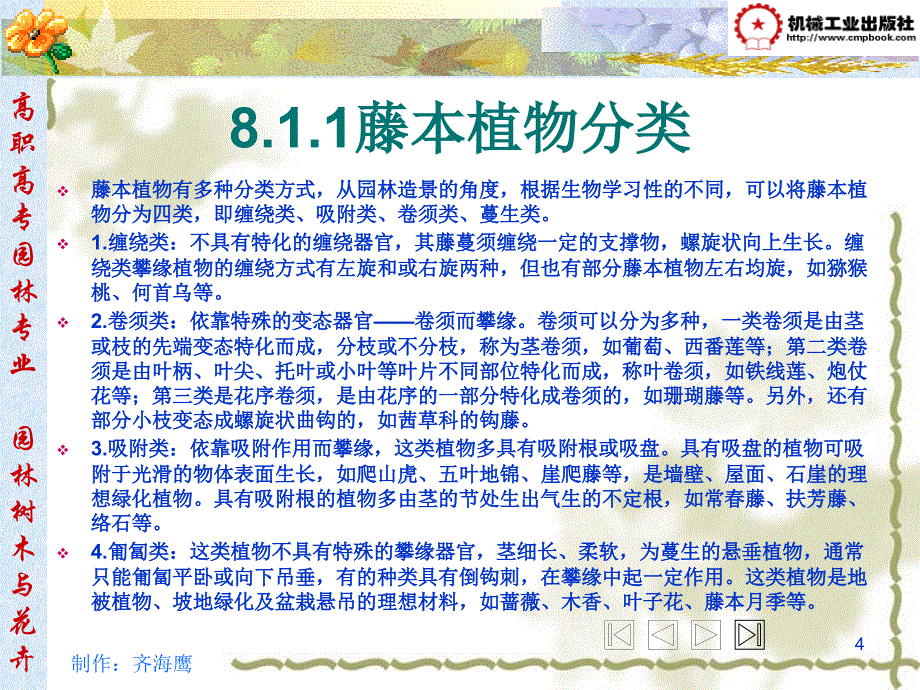 园林树木与花卉 教学课件 ppt 作者 齐海鹰 第8章 藤本类园林树木_第4页