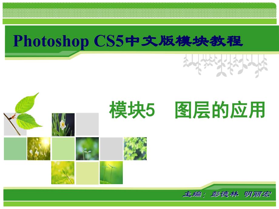 Photoshop CS5中文版模块教程-电子教案-彭德林 模块5 图层的应用_第1页