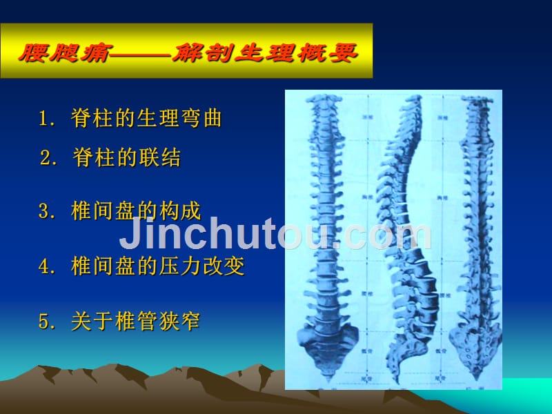 十大名校外科学-腰腿痛_第3页