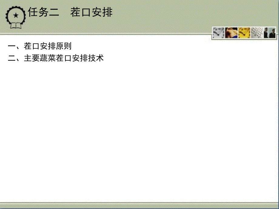 蔬菜生产技术 教学课件 ppt 作者 刘艳华 项目二_第4页