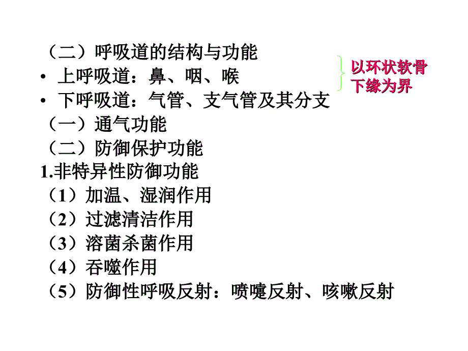 呼吸系统(新)._第4页