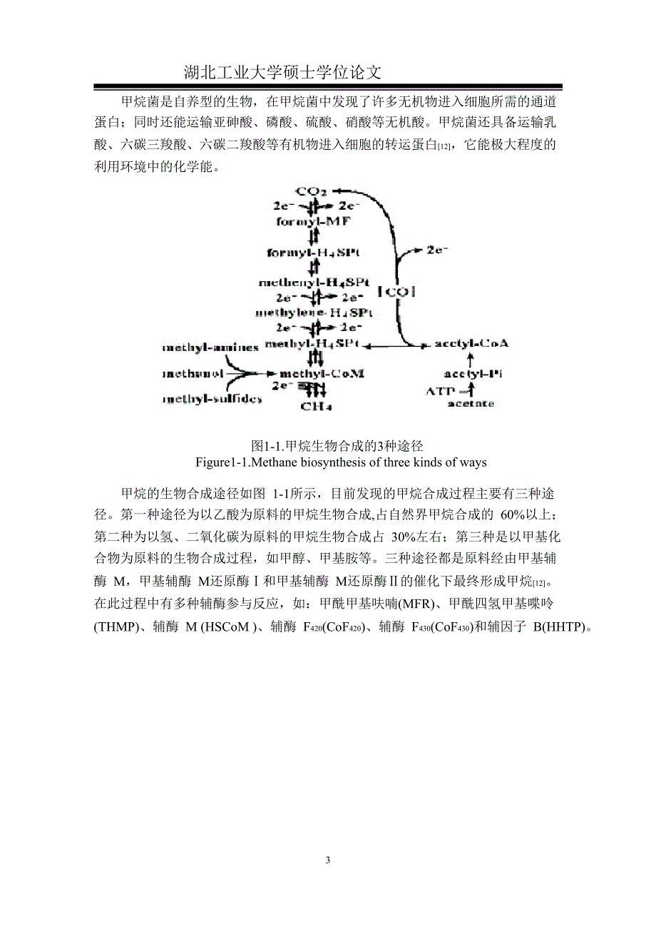 代谢调控因子对厌氧体系产沼气影响_第4页