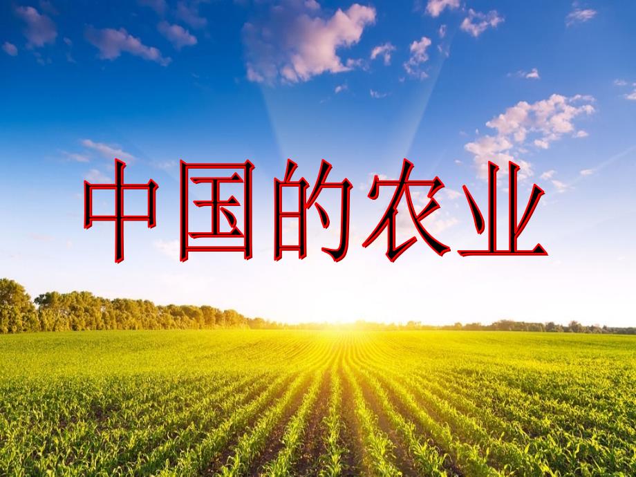 区域地理-中国的农业(公开课)_第1页