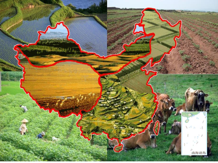 区域地理-中国的农业(公开课)_第4页