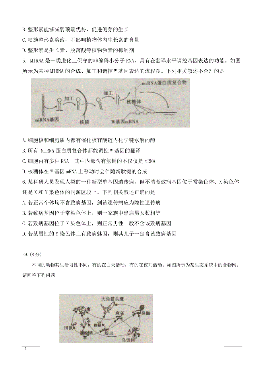 安徽省A10联盟2019届高三最后一卷理科综合--生物含答案解析_第2页