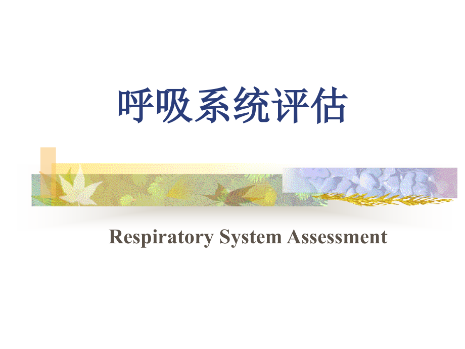 呼吸系统评估._第1页