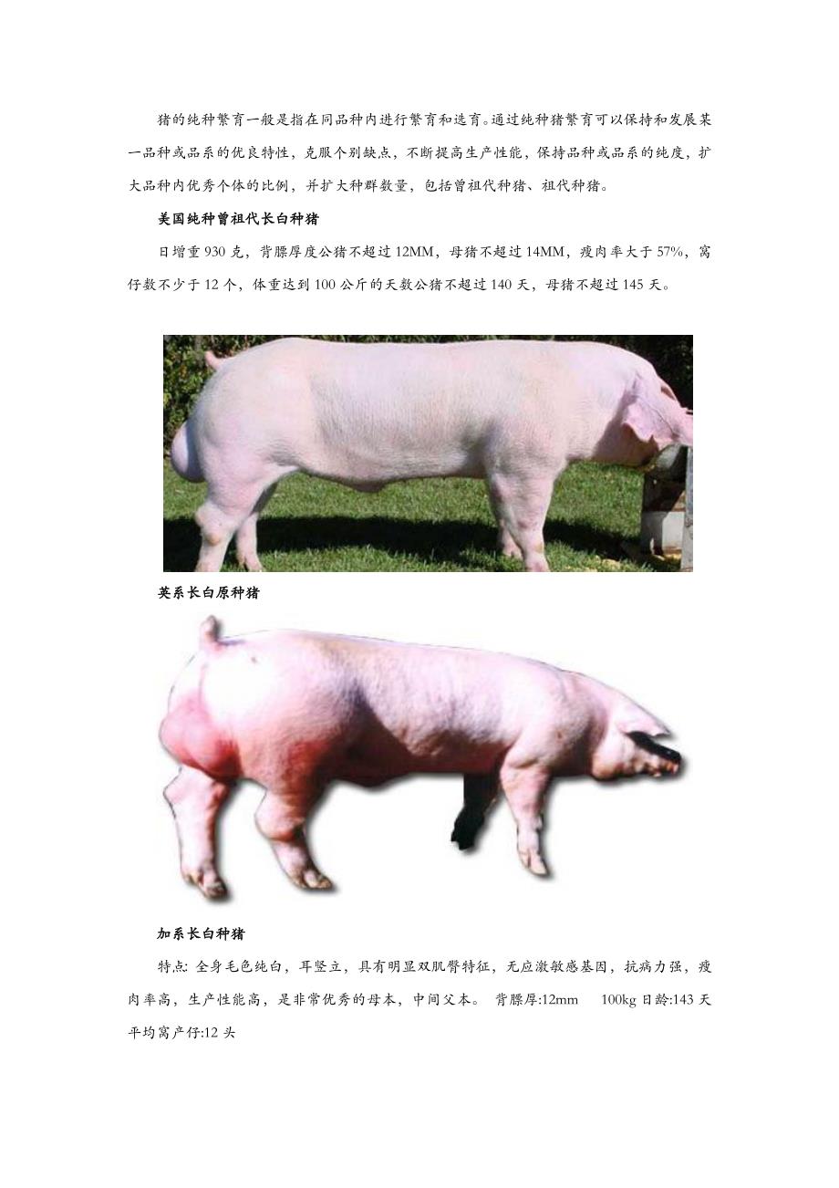 养猪繁育体系及评价指标_第3页