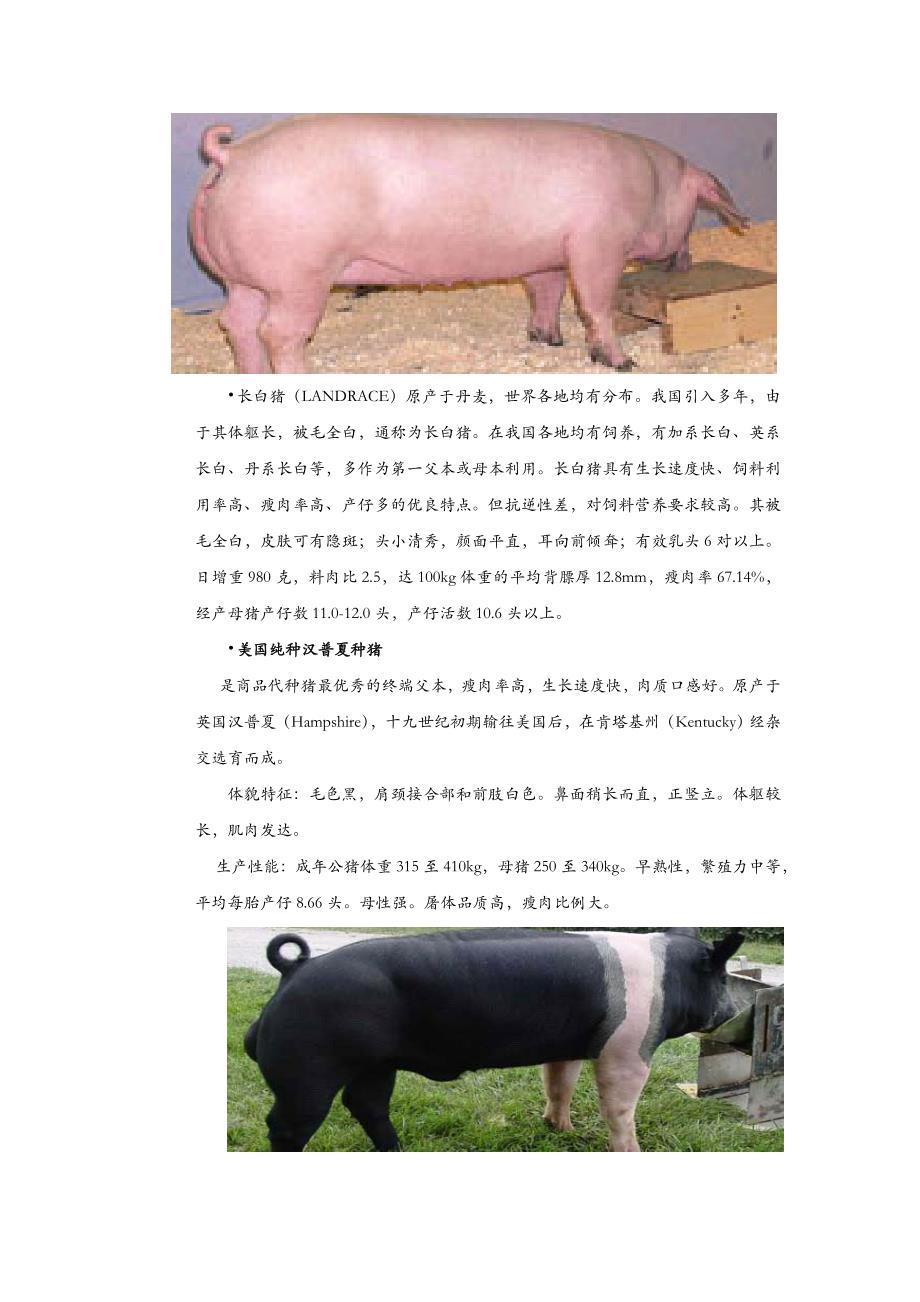 养猪繁育体系及评价指标_第4页