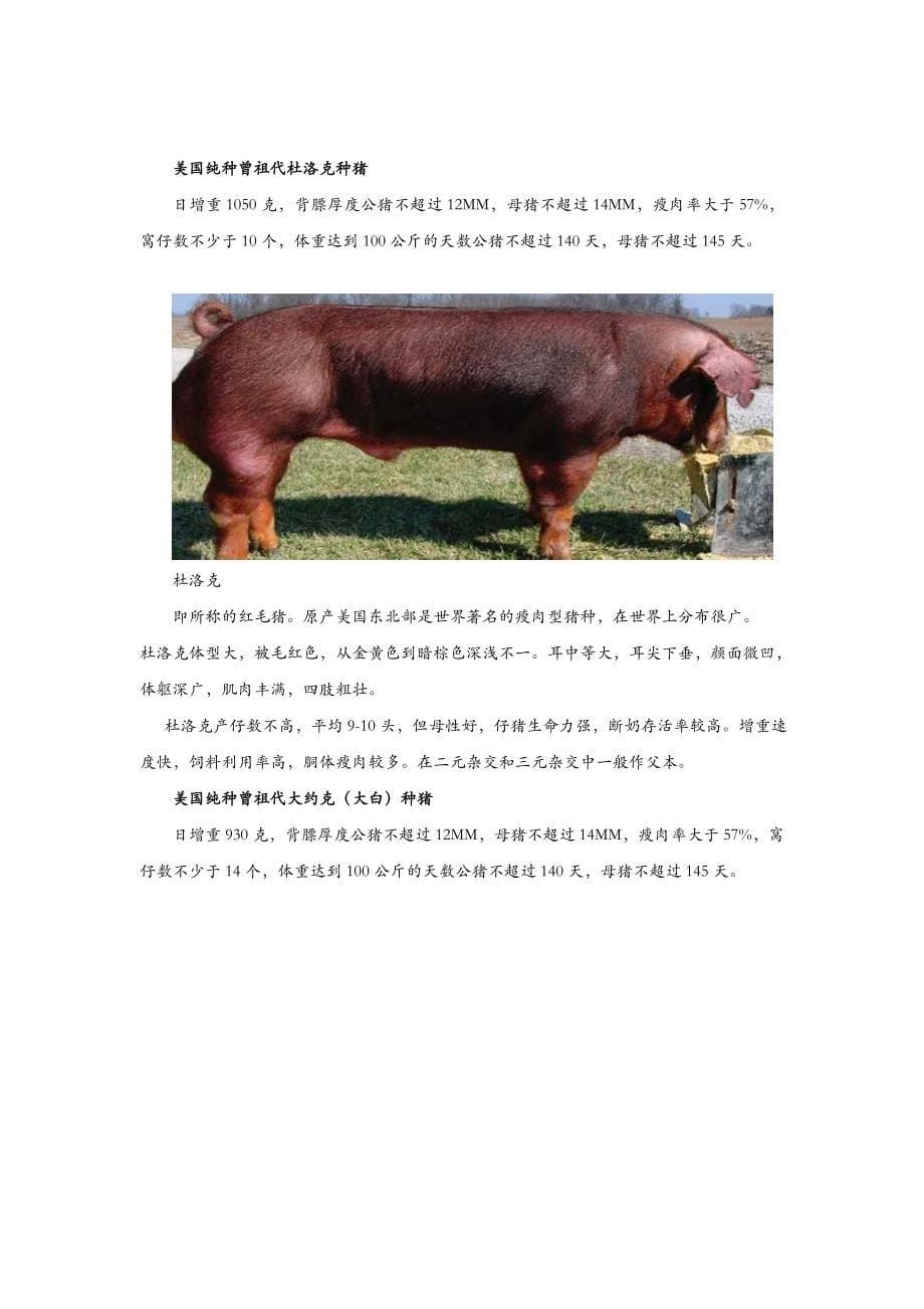 养猪繁育体系及评价指标_第5页