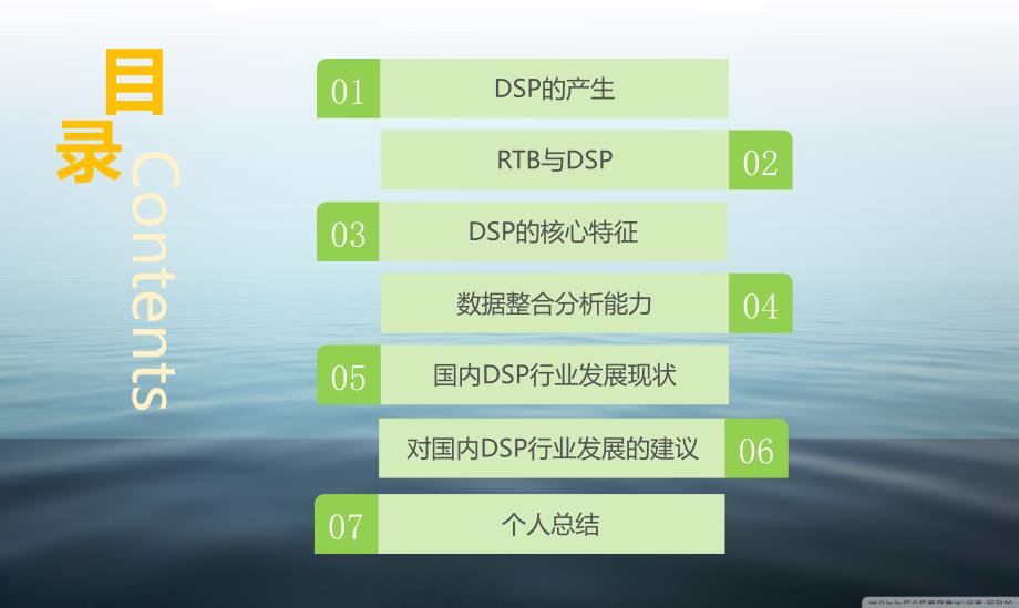 关于dsp的详细介绍_第2页