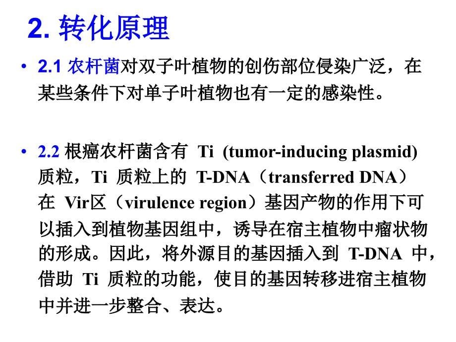 农杆菌介导转化拟南芥_第5页