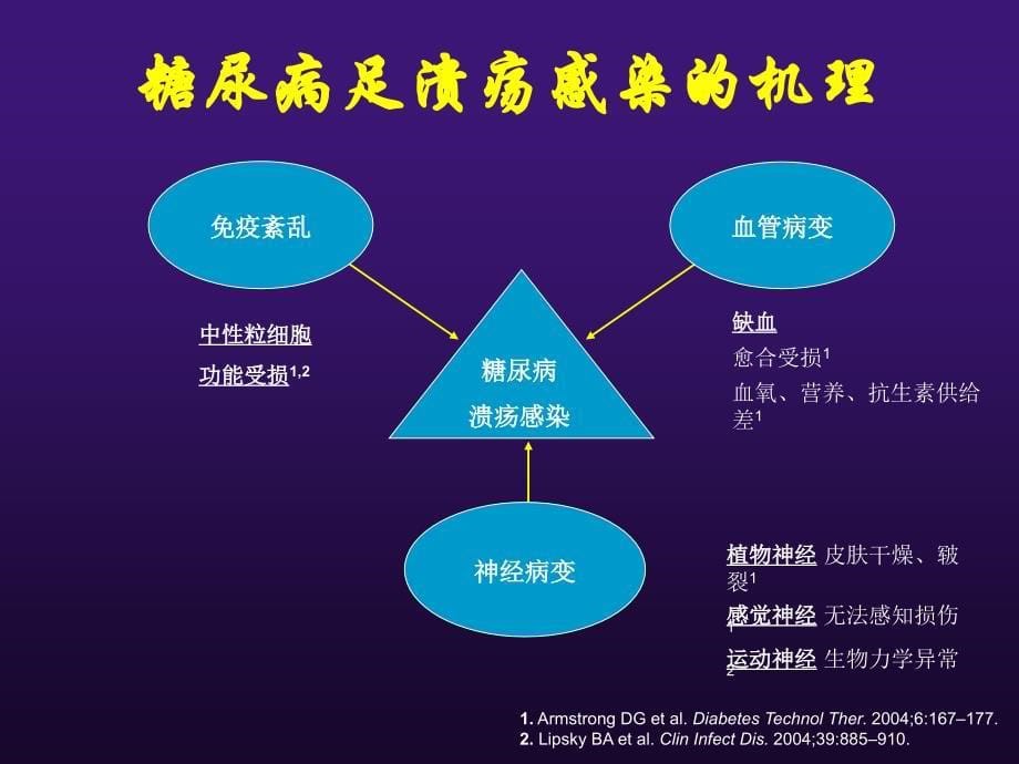 糖尿病足溃疡感染的抗生素治疗_第5页