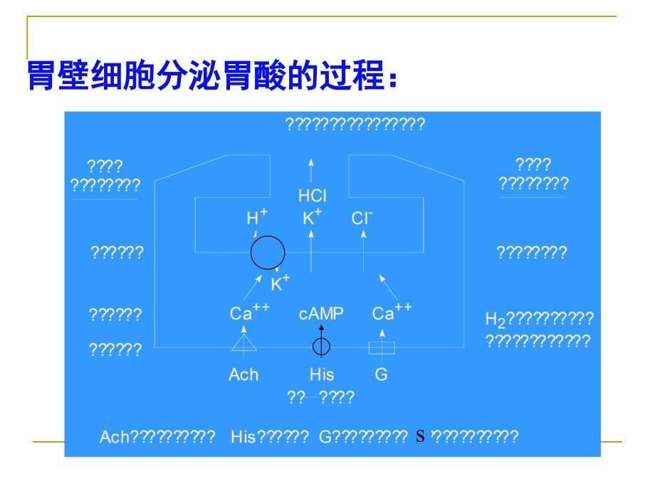 药物化学-5消化系统药物_第5页