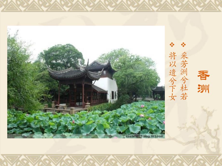 苏州古典园林,杭州西湖景区和杭州西溪湿地的植物配置_第4页