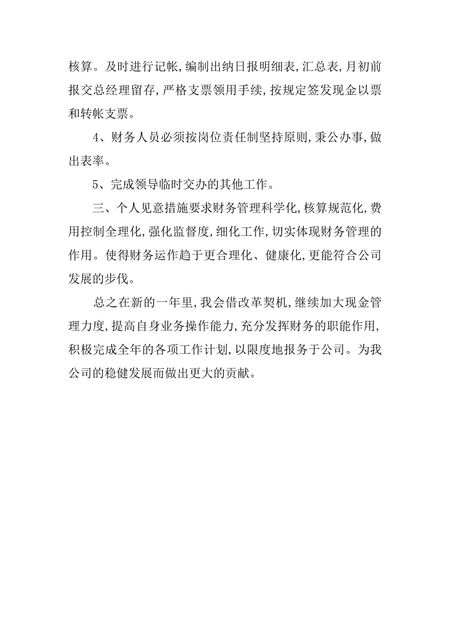 20xx年财务出纳人员个人工作计划新选_第2页