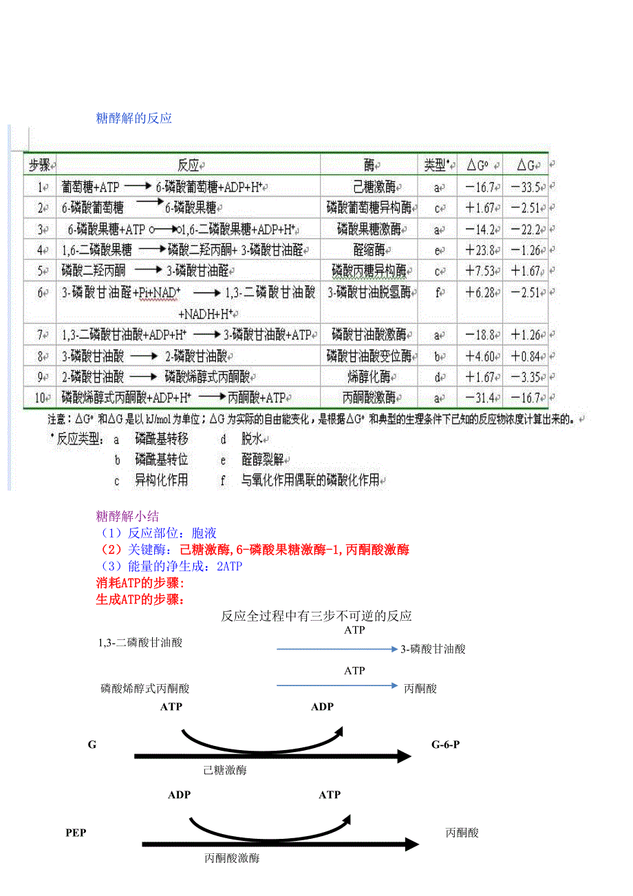 王镜岩生物化学下册复习总结_第2页