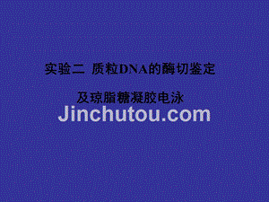 实验二 质粒dna的酶切鉴定