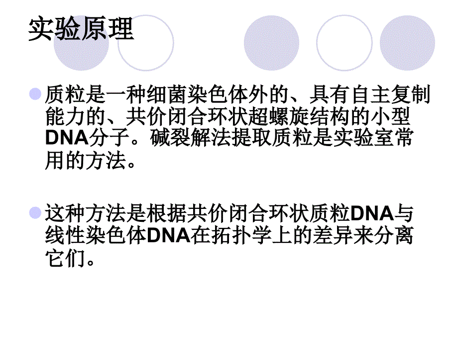 实验一  质粒dna的提取_第4页