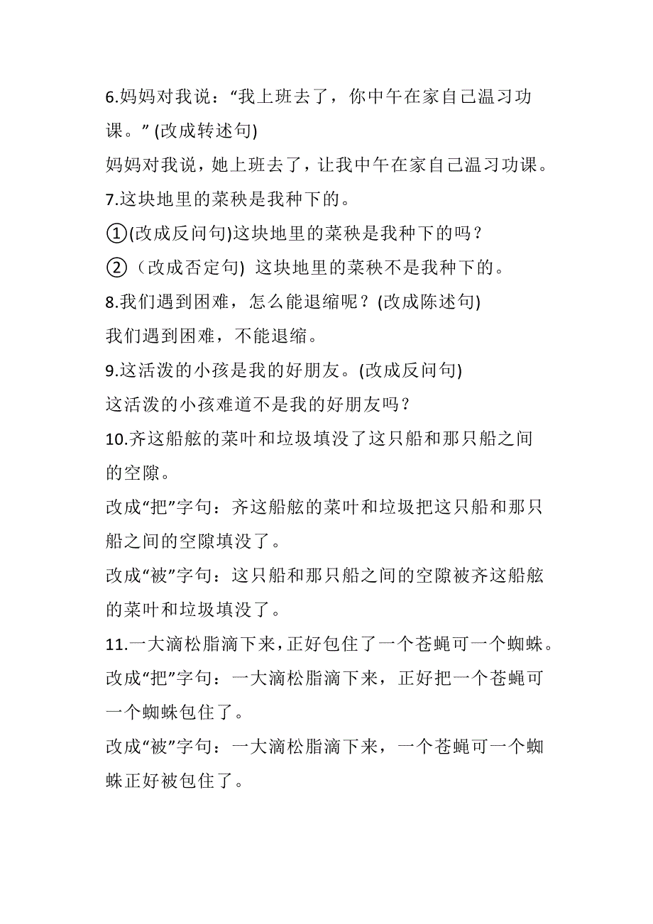 最新小升初语文句子转换专题练习及答案_第2页