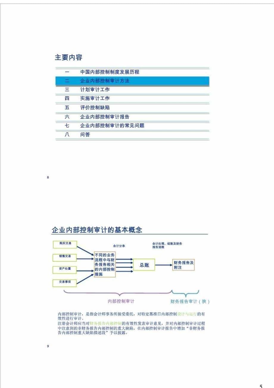 内控审计操作及案例分析_第5页