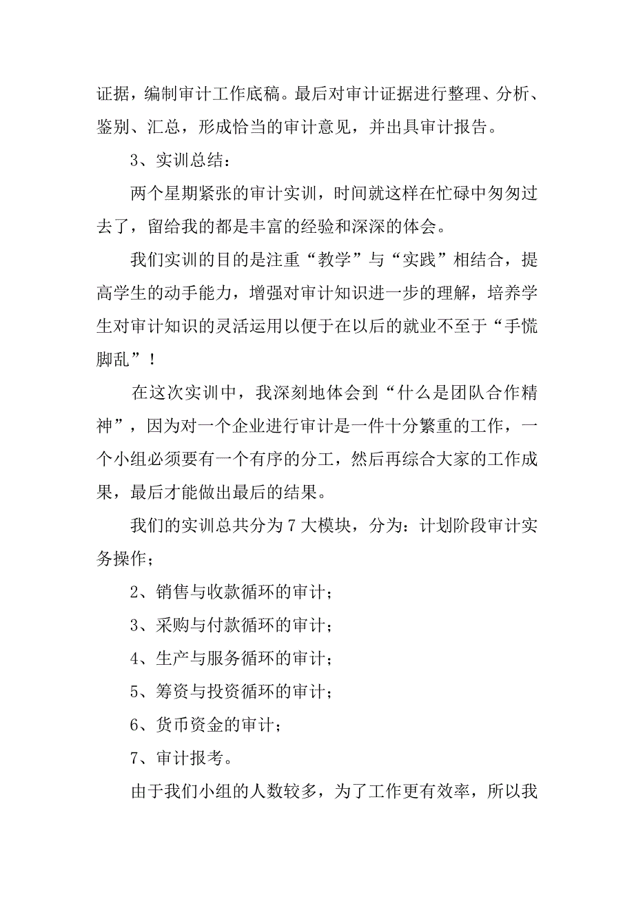 审计实训报告1500字.doc_第2页