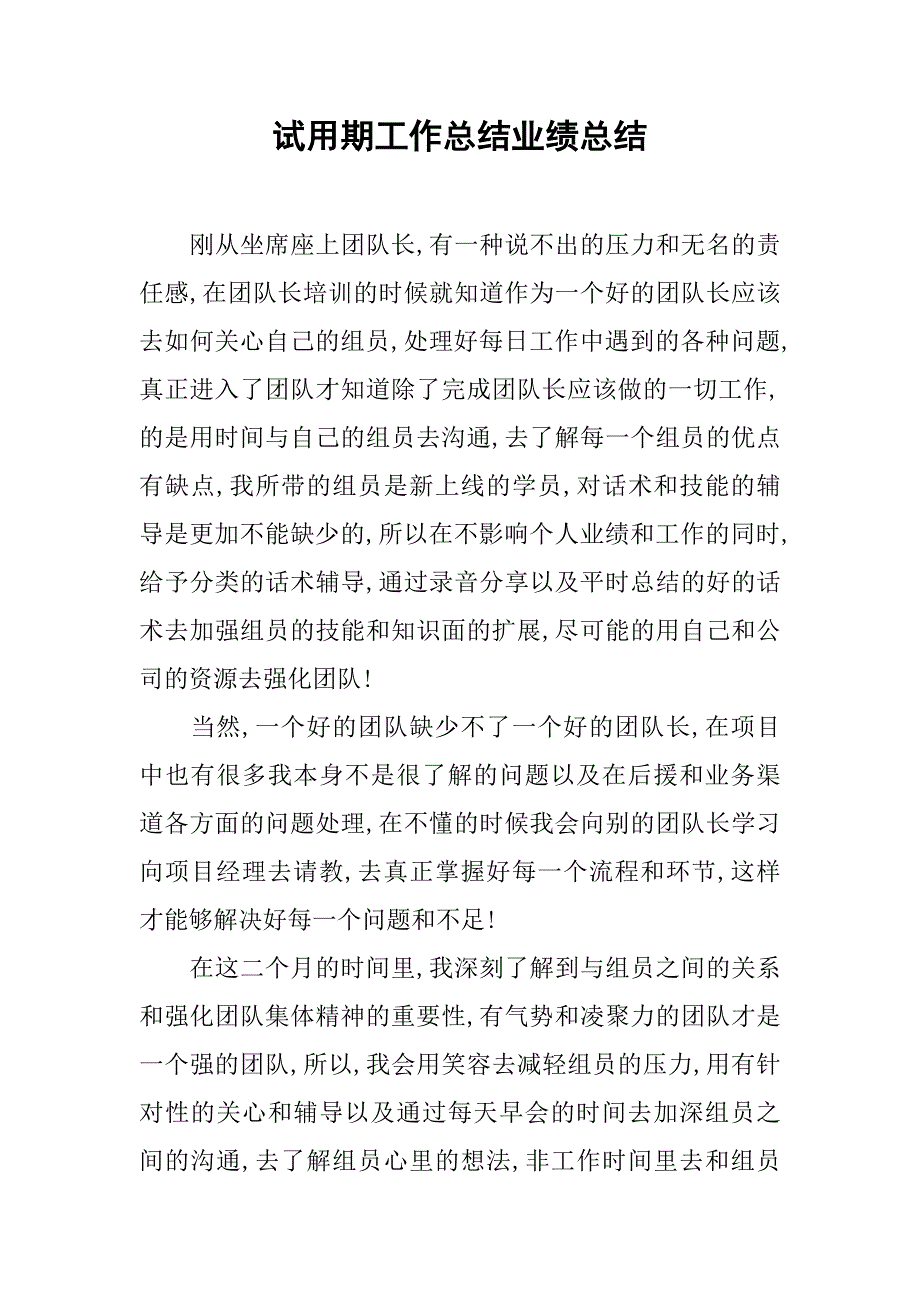 试用期工作总结业绩总结.doc_第1页