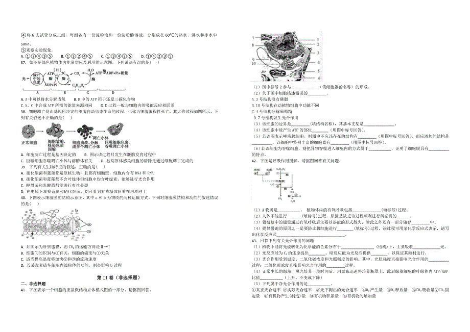 【100名校】黑龙江省2017-2018学年高一上学期期末考试生物试题（解析版）_第4页