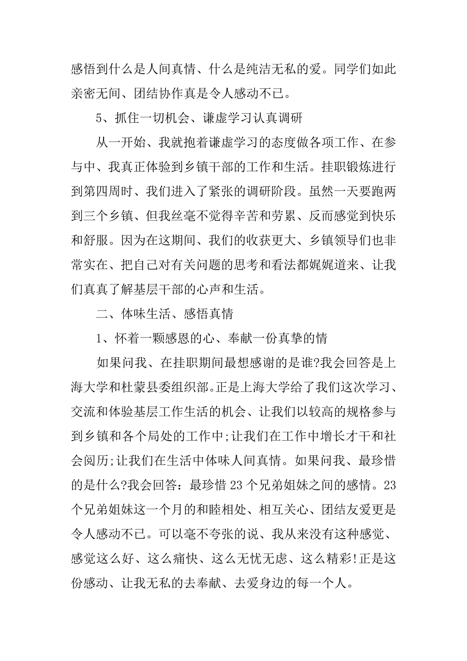 挂职锻炼年度工作总结模板.doc_第3页