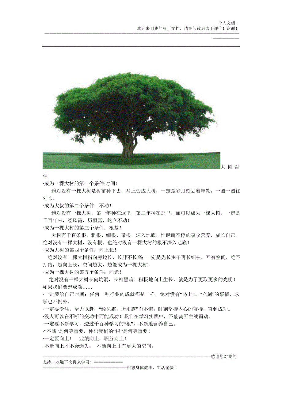 大树哲学_第1页
