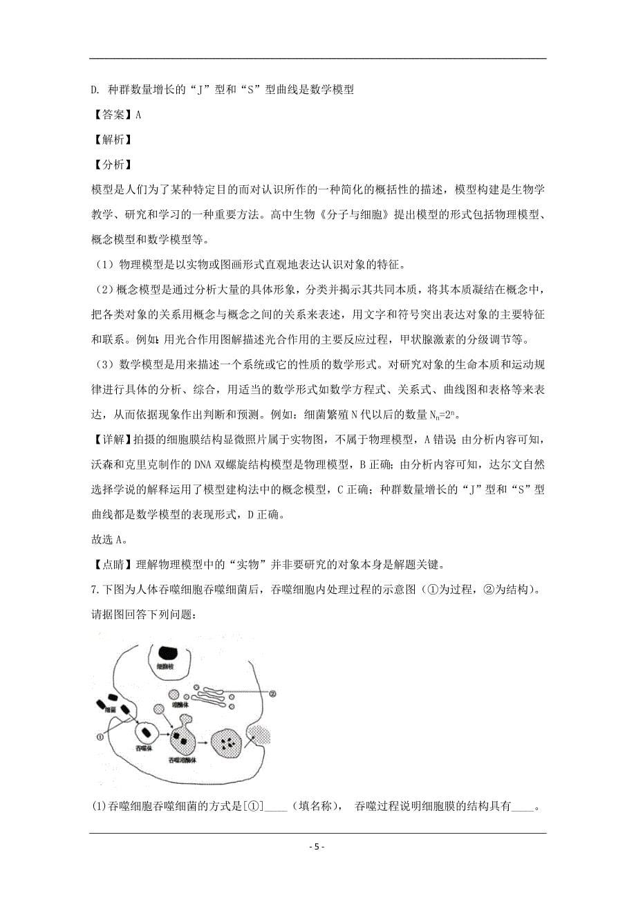 湖北省八校2019届高三上学期12月第一次联考理科综合生物试题 Word版含解析_第5页