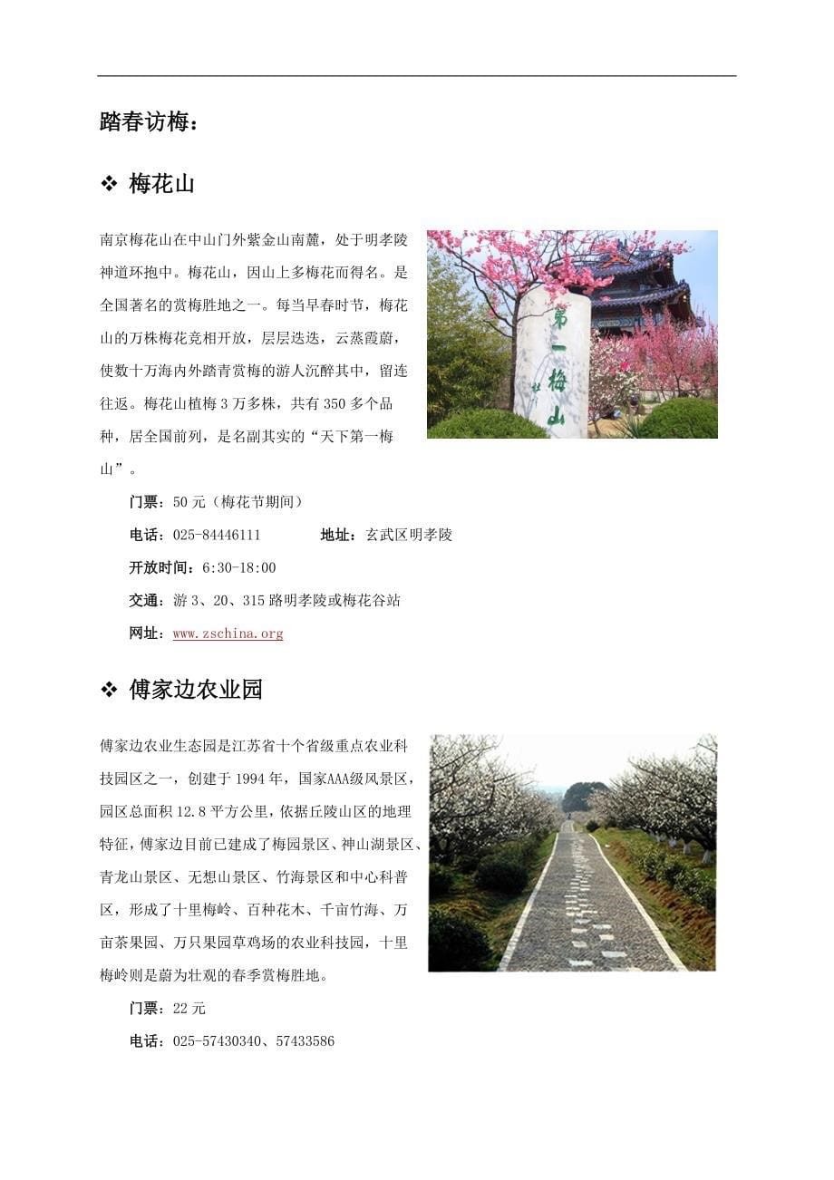 2011年南京国际梅花节 _第5页